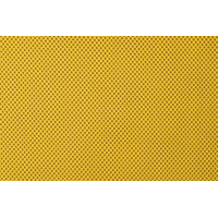 OASIS  004